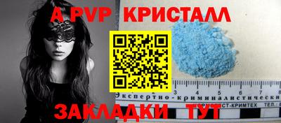 спайс Гай