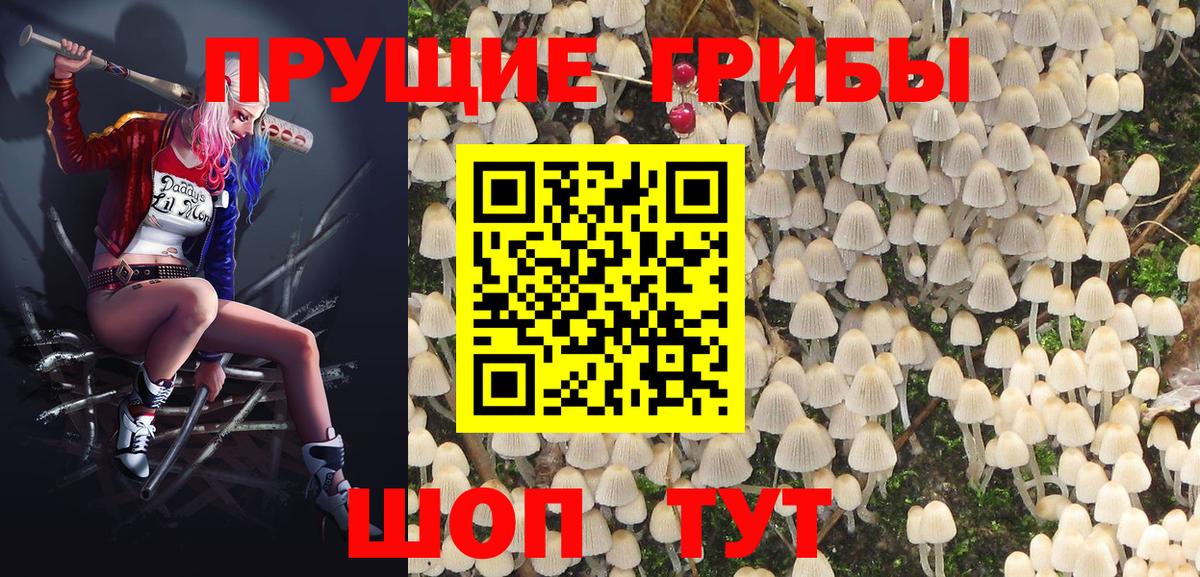 Галлюциногенные грибы GOLDEN TEACHER Вятские Поляны